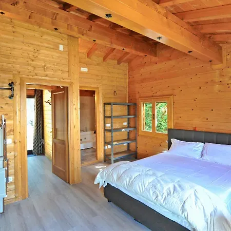 Lovely In With Sauna Holiday home